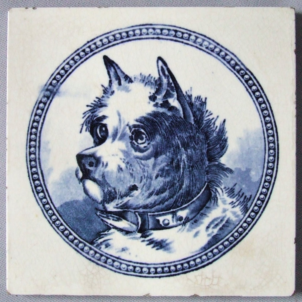 American Encaustic Tile AETCO Blue White Dog