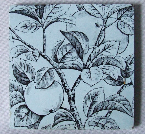 English Transfer tile apples E Smith & Co