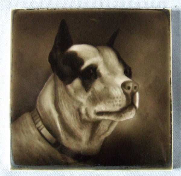 Sherwin Cotton Tile Bull Terrier Portrait
